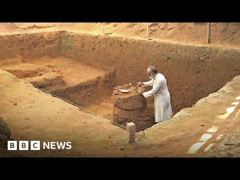 Have archaeologists found India’s lost port of Muziris? – BBC News