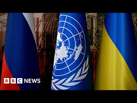 UN to vote on resolution calling for peace in Ukraine – BBC News