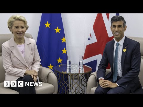 UK PM Rishi Sunak and EU chief expected to agree new Northern Ireland post-Brexit deal – BBC News