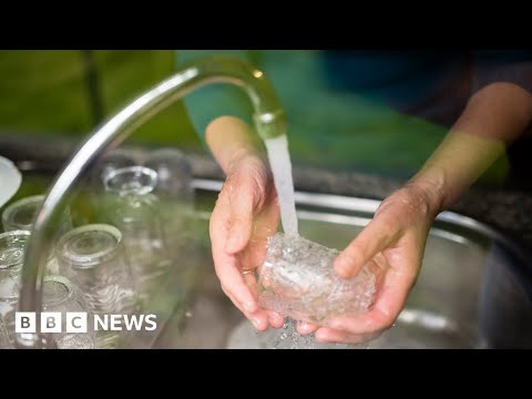 How can water be saved and recycled at home? – BBC News