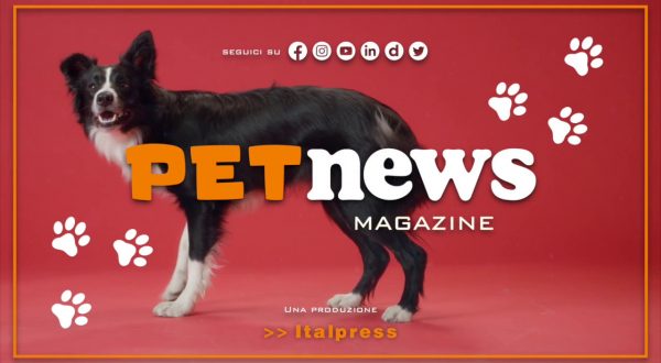 PetNews Magazine – 28/2/2023