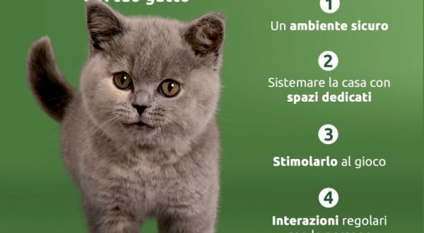 Ultima Petfood ed Enpa insieme in un progetto per gatti e cani