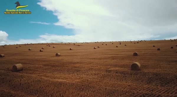 Pirateria agroalimentare, tre denunce tra Puglia e Sicilia