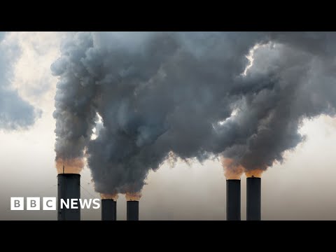 Climate crisis: New carbon capture method revealed by scientists – BBC News