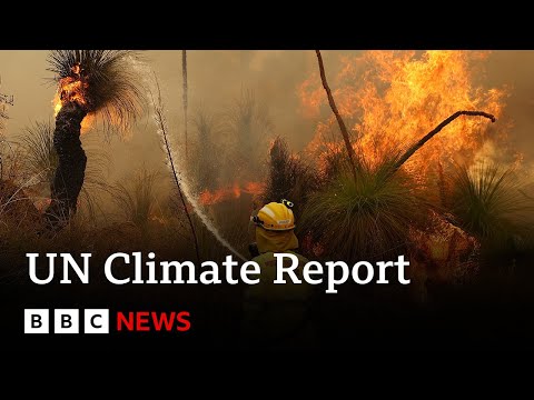 UN climate report: Scientists release ‘survival guide’ to avert climate disaster – BBC News