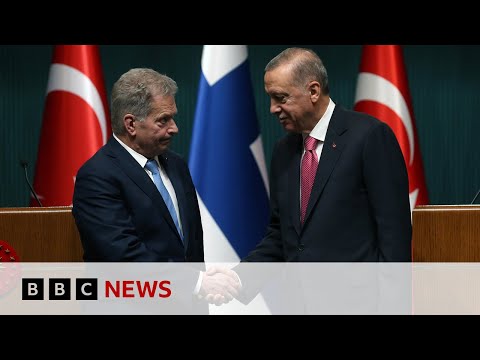 Turkey approves Finland Nato membership bid – BBC News