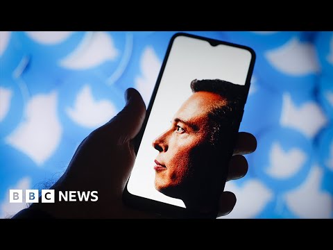 Twitter can’t protect you from trolls any more, insiders say – BBC News