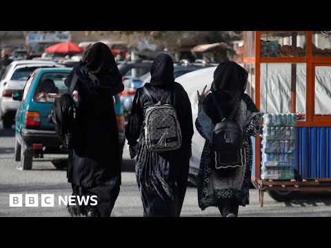 Taliban bars female students from returning to universities in Afghanistan – BBC News