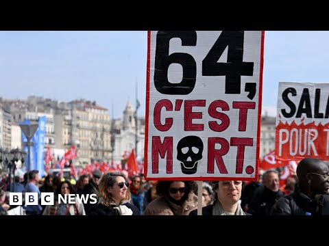 France pension reform strikes halt plane and train services – BBC News