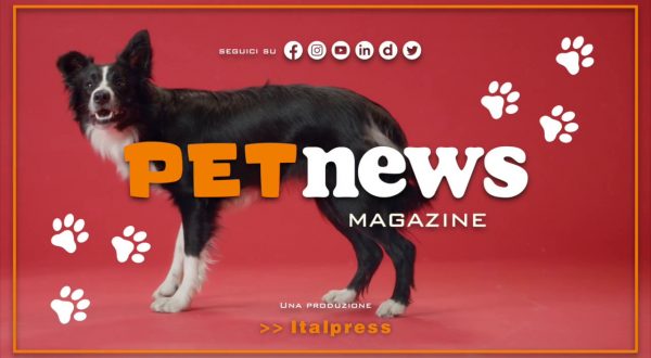 PetNews Magazine – 28/3/2023