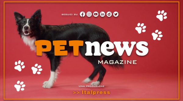 PetNews Magazine – 14/3/2023