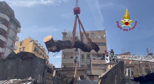 Rimosso albero caduto al Mercato delle pulci di Palermo