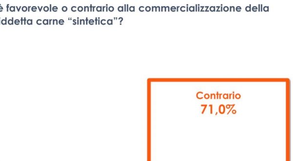 Carne sintetica, 7 italiani su 10 sono contrari alla commercializzazione