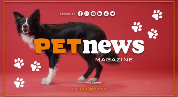 PetNews Magazine – 4/4/2023