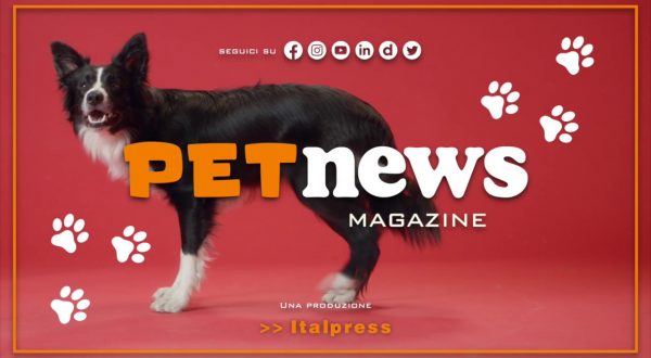 PetNews Magazine – 25/4/2023