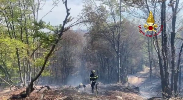 Vigili del fuoco impegnati in due incendi boschivi in Piemonte