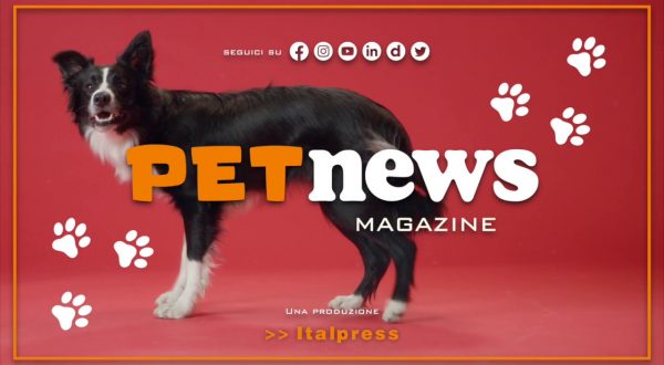 PetNews Magazine – 18/4/2023