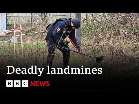 Ukraine contaminated by thousands of landmines – BBC News