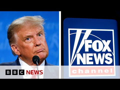 Fox sued over voting machine claims after Trump v Biden election – BBC News