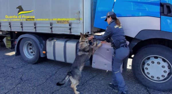 Treviso, nascondeva su un Tir 280mila euro in contanti. Denunciato