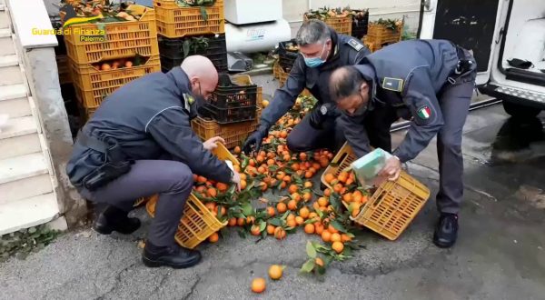 Sgominata banda dedita al traffico di droga tra Calabria e Sicilia