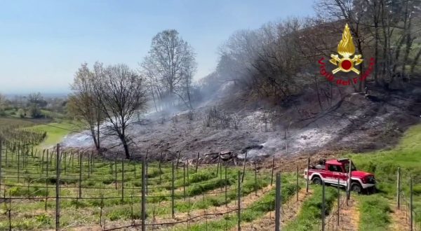 San Colombano al Lambro, incendio nel sottobosco. Lambite abitazioni