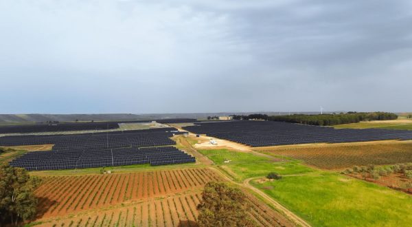 Engie inaugura in Sicilia il più grande parco agrivoltaico d’Italia