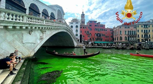 Chiazza verde nel Canal Grande a Venezia