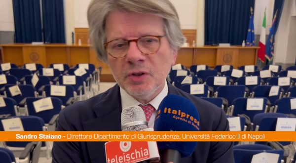 Federico II, Staiano “Per Sangiuliano cultura è sede del pluralismo”