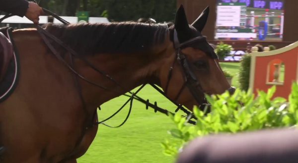 Equitazione. Piazza di Siena, a Irlanda Coppa Nazioni Intesa Sanpaolo