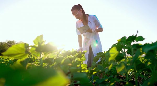 Nell’agroalimentare perse 21 mila imprese in 3 anni