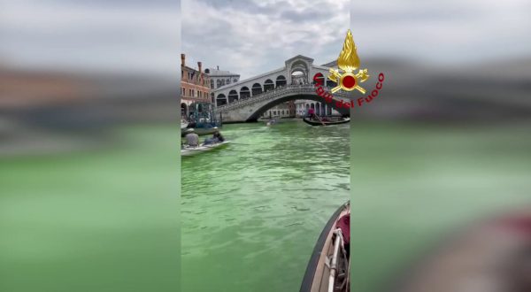 Chiazza verde nel Canal Grande di Venezia, le immagini