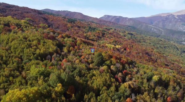 Biodiversità, una mostra dei carabinieri all’Onu