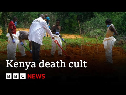 Kenya cult death toll passes 200 – BBC News