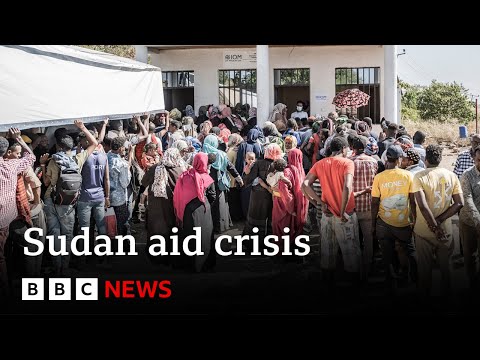 Sudan humanitarian crisis intensifies as ceasefire is breached – BBC News