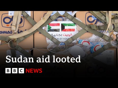 Sudan: Millions of dollars worth of food aid looted, The World Food Programme says – BBC News