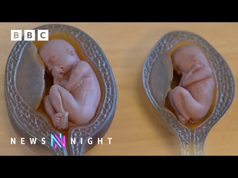 Roe v Wade reversal: How abortion restrictions are impacting the US one year on – BBC Newsnight