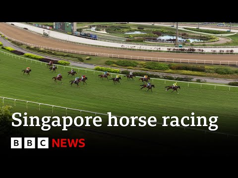 Singapore to hold final horse race after more than 180 years – BBC News