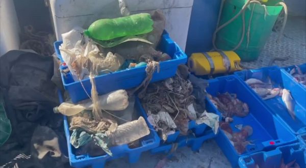 Più plastica che pesci, Marevivo lancia l’allarme