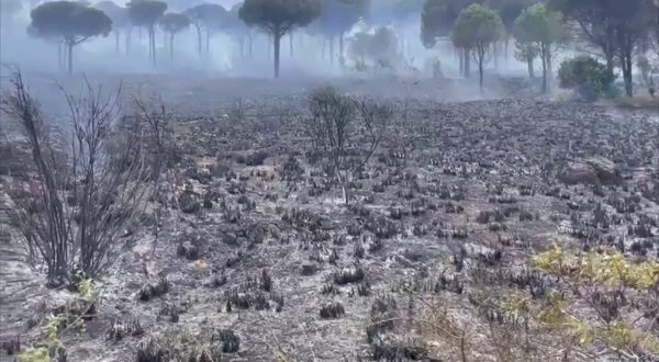 Incendi a Palermo, le immagini della devastazione