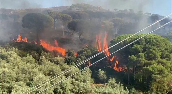 Incendi nel palermitano, le immagini dle rogo a Monreale