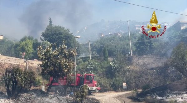 Incendi nel palermitano, Vigili del Fuoco in azione contro i roghi