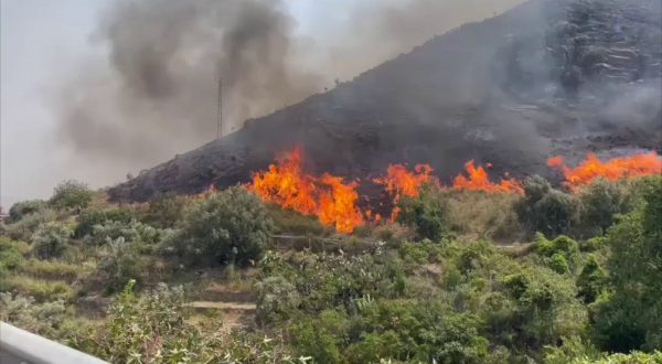 Incendio alle porte di Palermo, in fumo ettari di macchia mediterranea