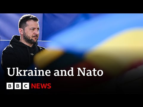 Nato summit: Allies refuse to give Ukraine timeframe on joining – BBC News