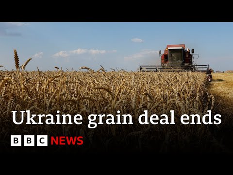 Russia ends Ukraine grain deal after Crimea bridge attack – BBC News