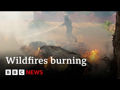 Greece fires: Thousands forced to flee ‘disaster film’ wildfires – BBC News