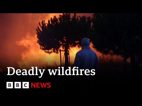 Deadly Mediterranean wildfires kill more than 40 – BBC News