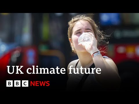 40C summers in UK ‘a sign of things to come’, says Met Office – BBC News