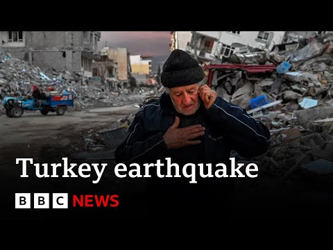 Google alert failed to warn people of Turkey earthquake – BBC News