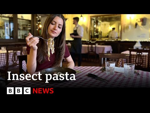 Italian food: Insect pasta divides diners – BBC News